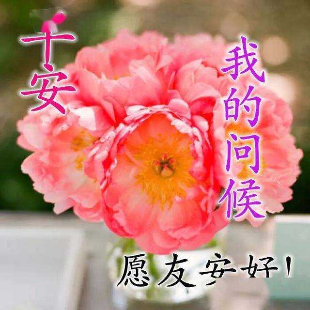 2020年早上好图片大全 早上祝福语图片表情