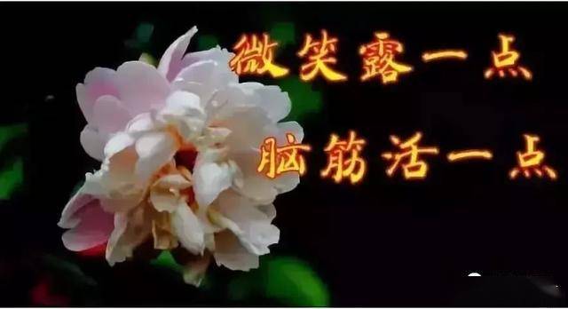 爱你一生不回头简谱_一生爱你千百回简谱