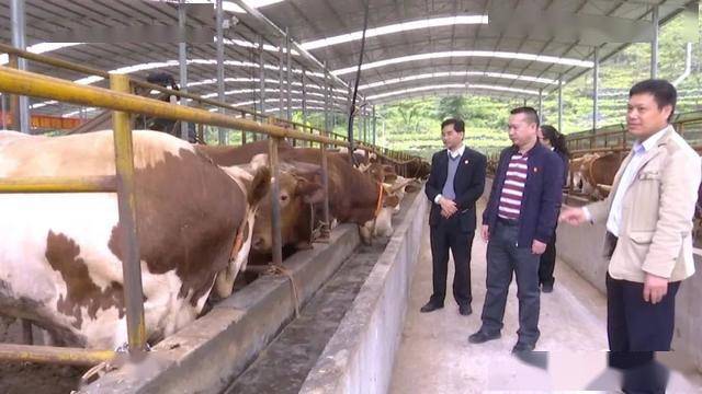 在土地便宜的美国 用来养牛的人均土地(2)