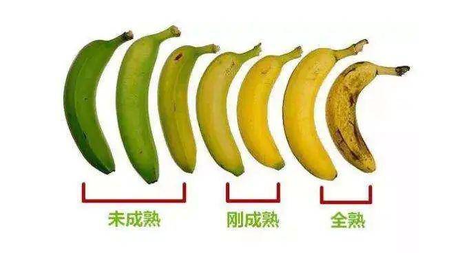 449da8cc288e487a8547d815d15b37de.jpeg