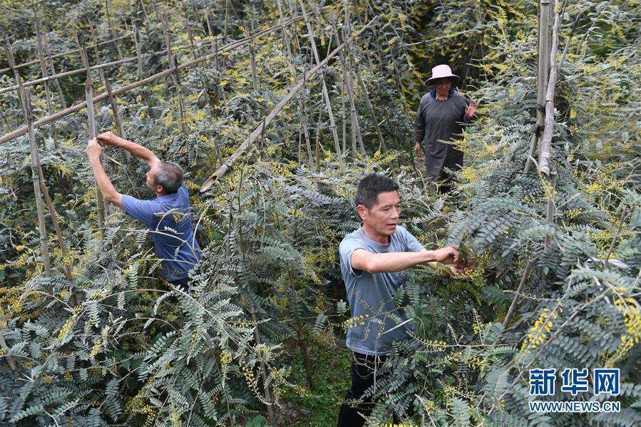 已脱贫人口中有近200_脱贫攻坚图片