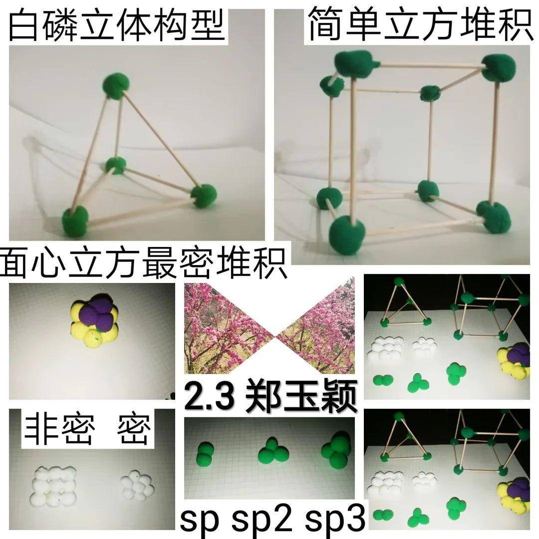 学科活动高二化学模型制作大赛结果