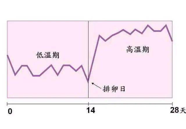 发烧体温上升是什么原理_发烧体温图片(3)