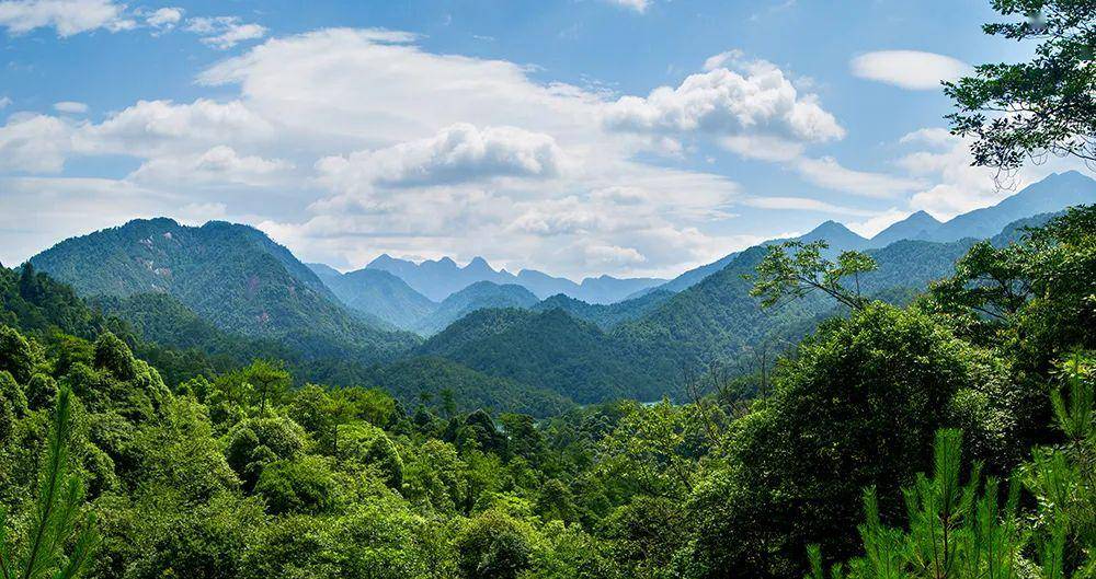 "江西康养旅游打卡地"大茅山风景名胜区!_景区