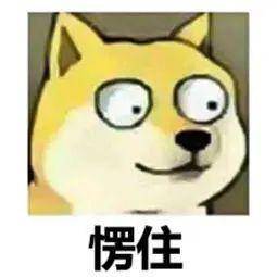 fda81c9fda8f4e2b91dfa1ee124e0f07.jpeg