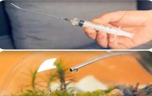 「植物」让种植成为孩子探索自然的起点！【植物角】60种植物角新玩法