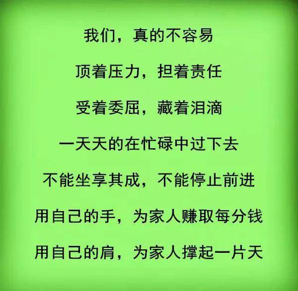 我们真的不容易,一天天的再忙碌中过下去  返回搜