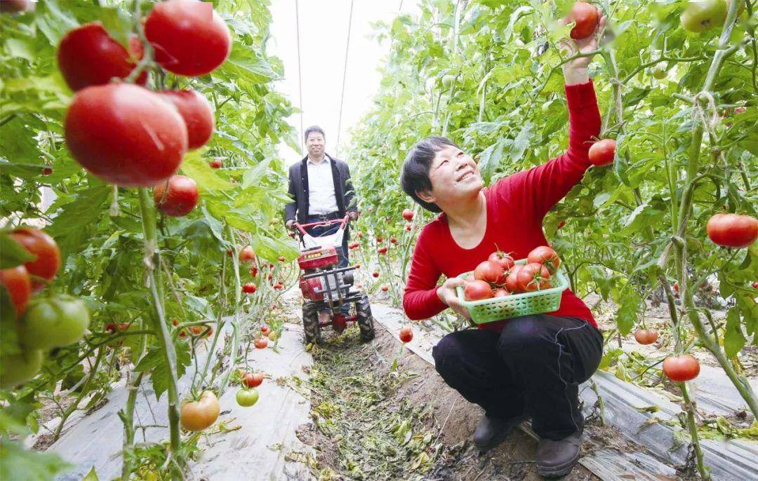 长胜镇人口_人口普查