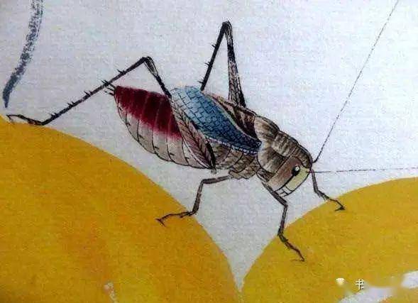 齐白石画的蝈蝈和蝗虫,不佩服不行!