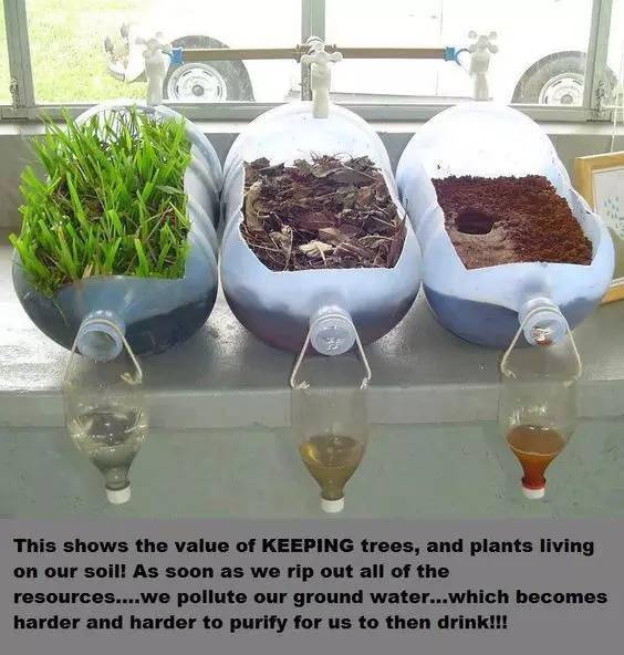 「植物」让种植成为孩子探索自然的起点！【植物角】60种植物角新玩法