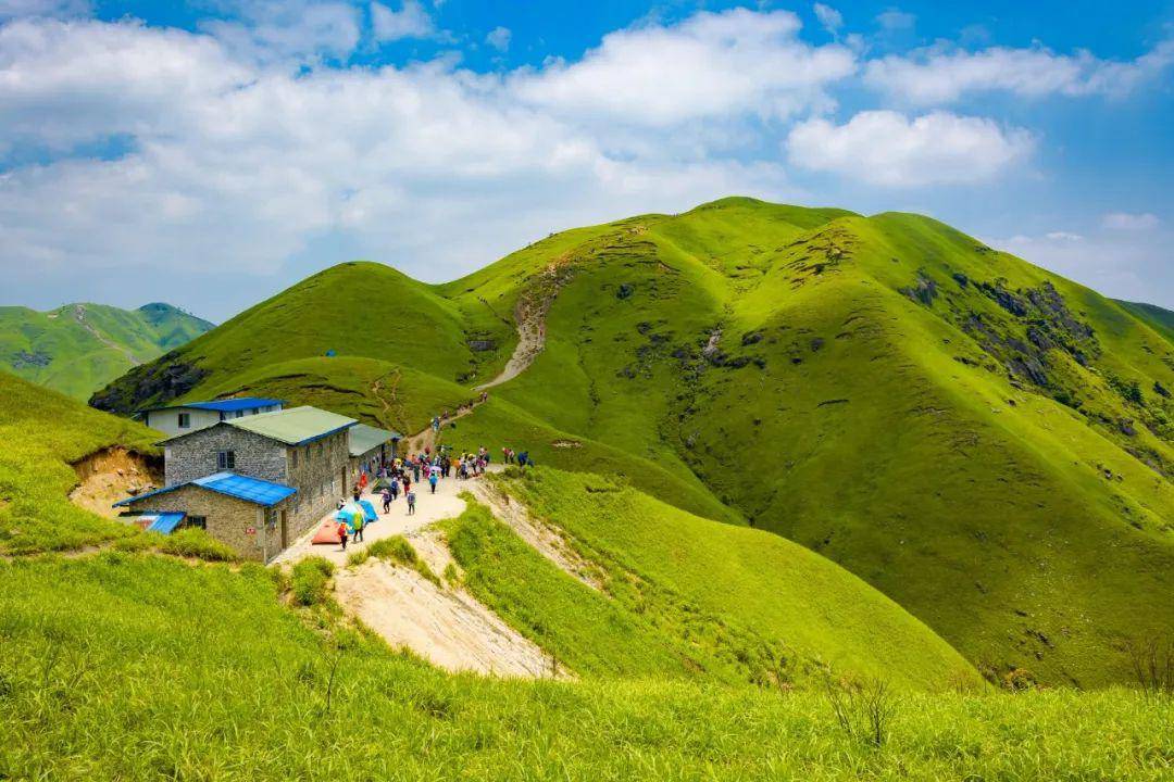 全球最大高山草甸不在内蒙古也不在新疆夏季最高温度仅23