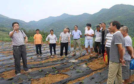 汉滨区贫困户人口名单_汉滨以 技 治 贫 变贫困人口压力劣势为资源优势