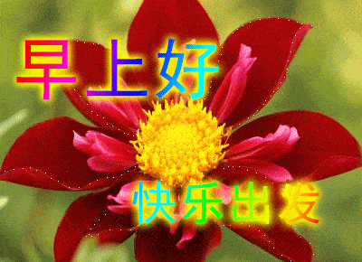 尽心之余随缘起止随遇而安心常满足早安