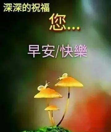 早安漂亮祝福图,早上好问候句子