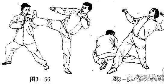 近身格斗术实战腿法之扫腿和后撩腿