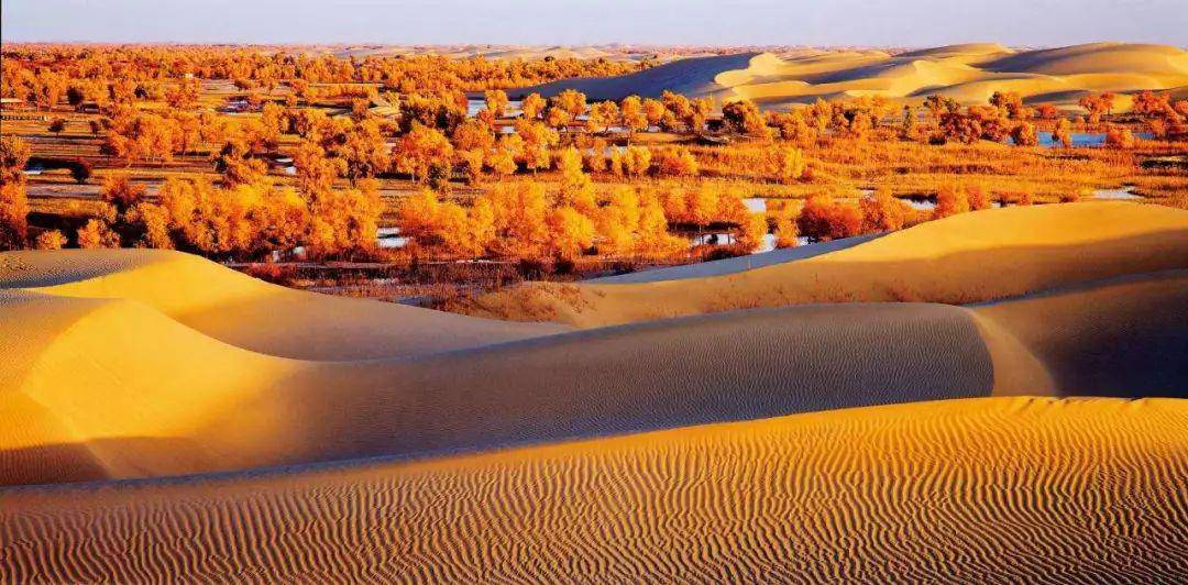 据了解,新疆第一条沙漠公路为塔里木石油公路,第二条为阿拉尔至和田