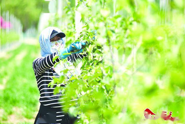 2020年天水经济各县_高光时刻!2020甘肃省县级融媒体中心传播力榜单出炉