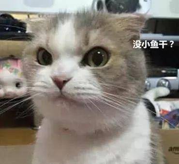 8688c452edb842c5b5b816aab2a50dc3.jpeg
