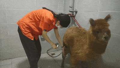 400_226 gif 动态图 动图