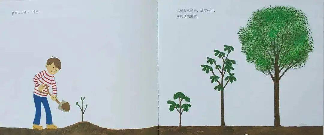 小树总有一天会变成大树,开花结果.树木的果实用各种方式延续生命.