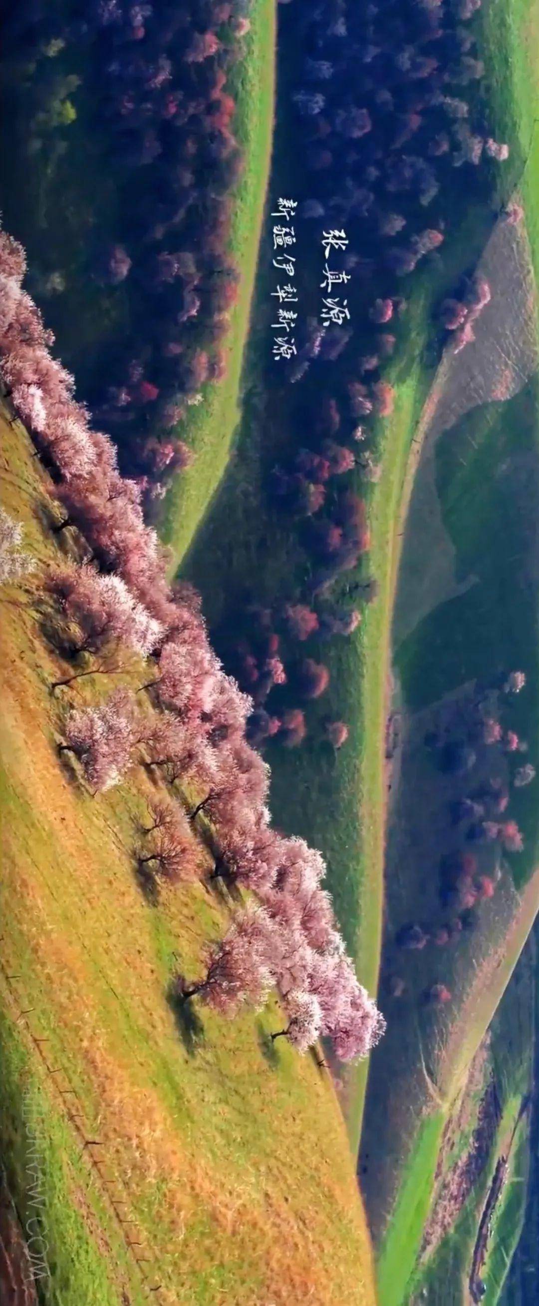 99.99%的司机都想自驾去这些地方！