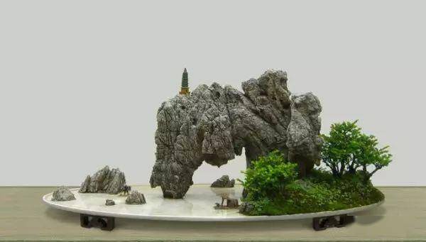 水旱盆景制作与管理