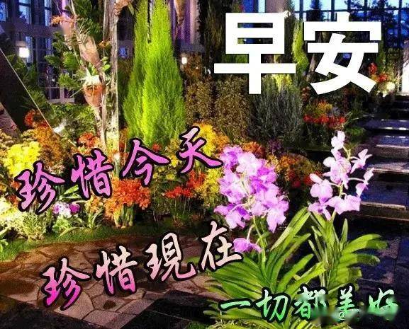 美丽的清晨,美丽的你,亲爱的,早上好