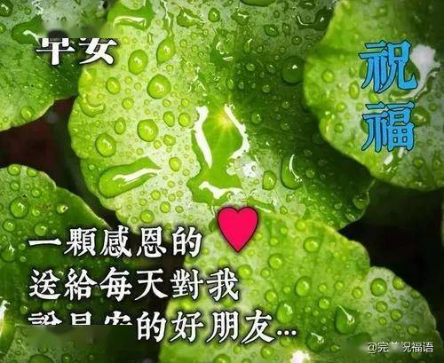 忙碌的生活带走的只是时间,对朋友的牵挂常留心底,一声问候一个祝福