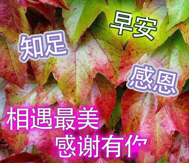 0c87f57f4bdd415bb03ed22ba6a434a8.jpeg