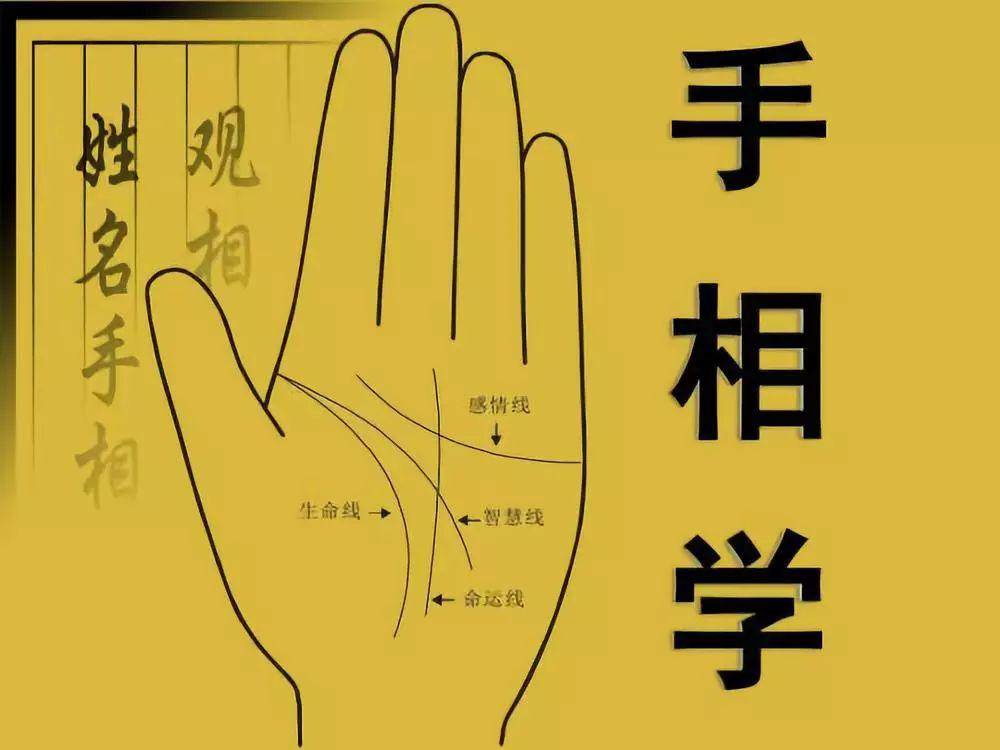 从手相看你的姻缘事业财运
