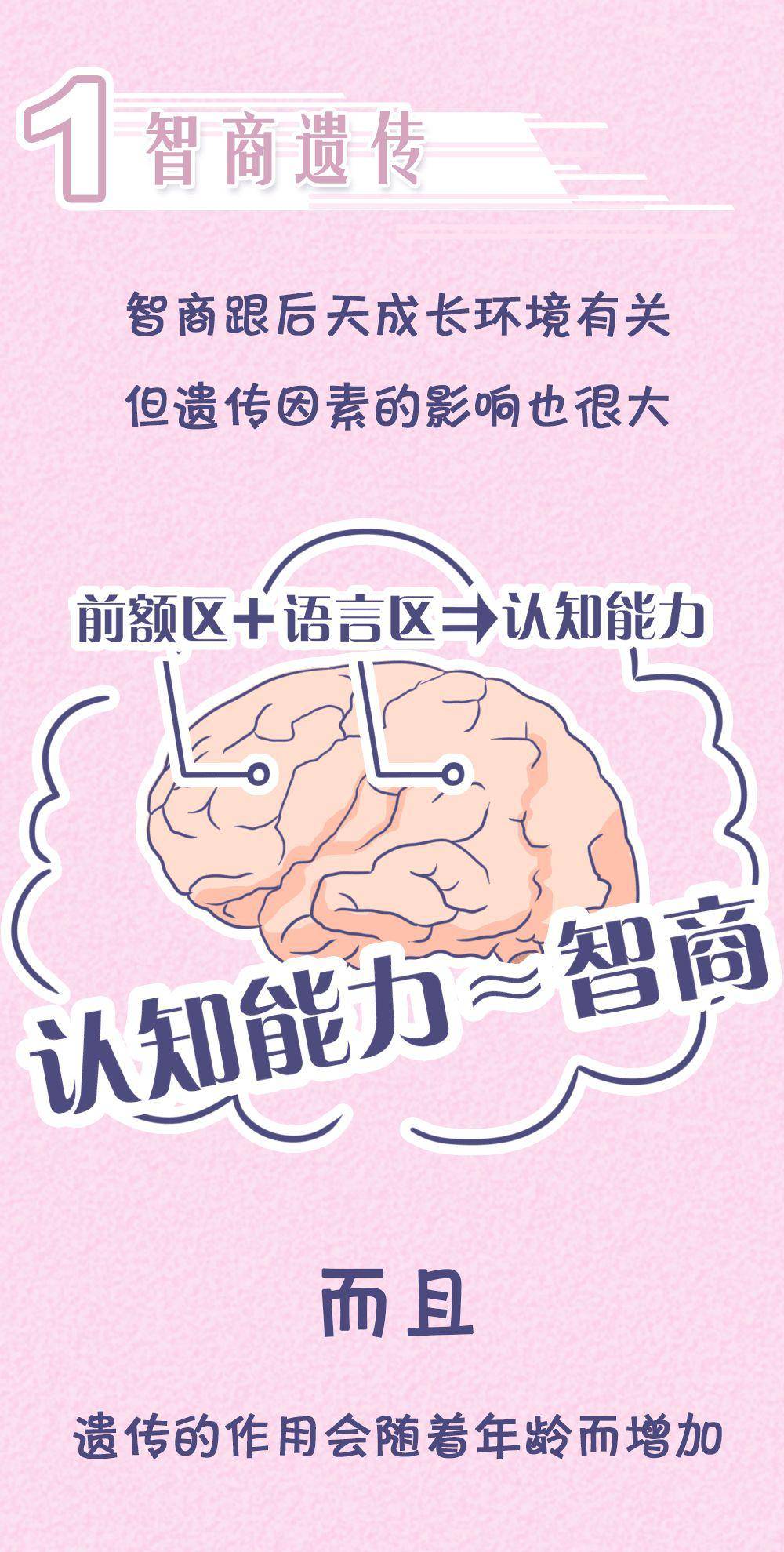 “女儿像爸，儿子像妈”？孩子智商究竟遗传谁？太准了……