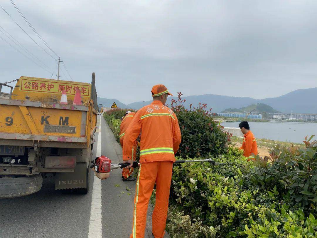 一线公路人丨入夏绿化养护正当时