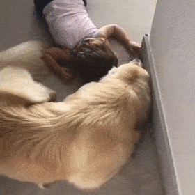 永远都会陪在你的身边.