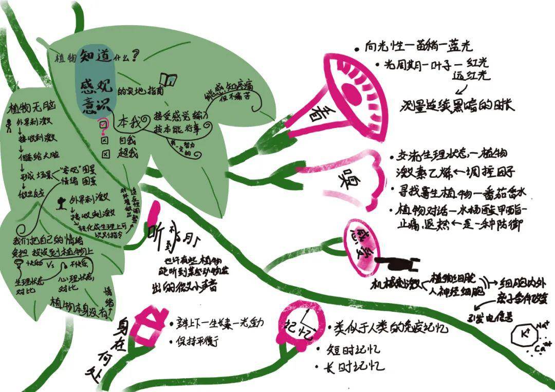 画书会 5.27 植物知道生命的答案