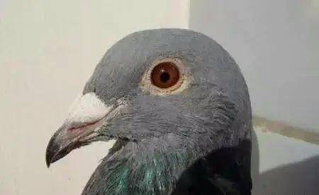 3459774998534ebda391b861a0bdde5a.jpeg