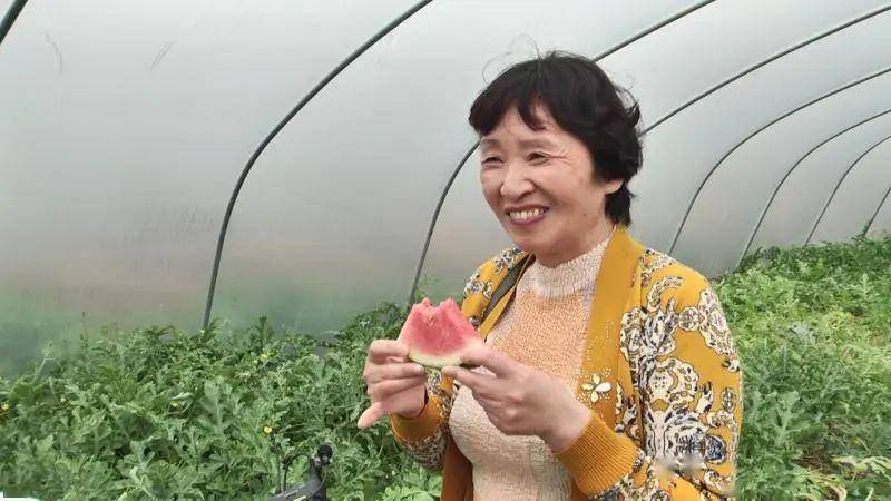 正宗水果西瓜图片 95bb7b9793204b44a996790d5961eade.jpeg