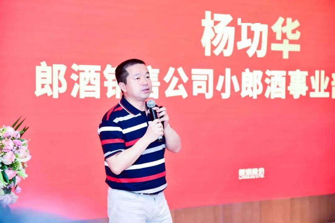 郎酒2020年上半年GDP_96年郎酒价格表和图片