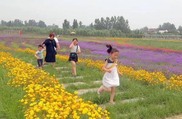 这是商丘夏日打卡新去处_宁陵县