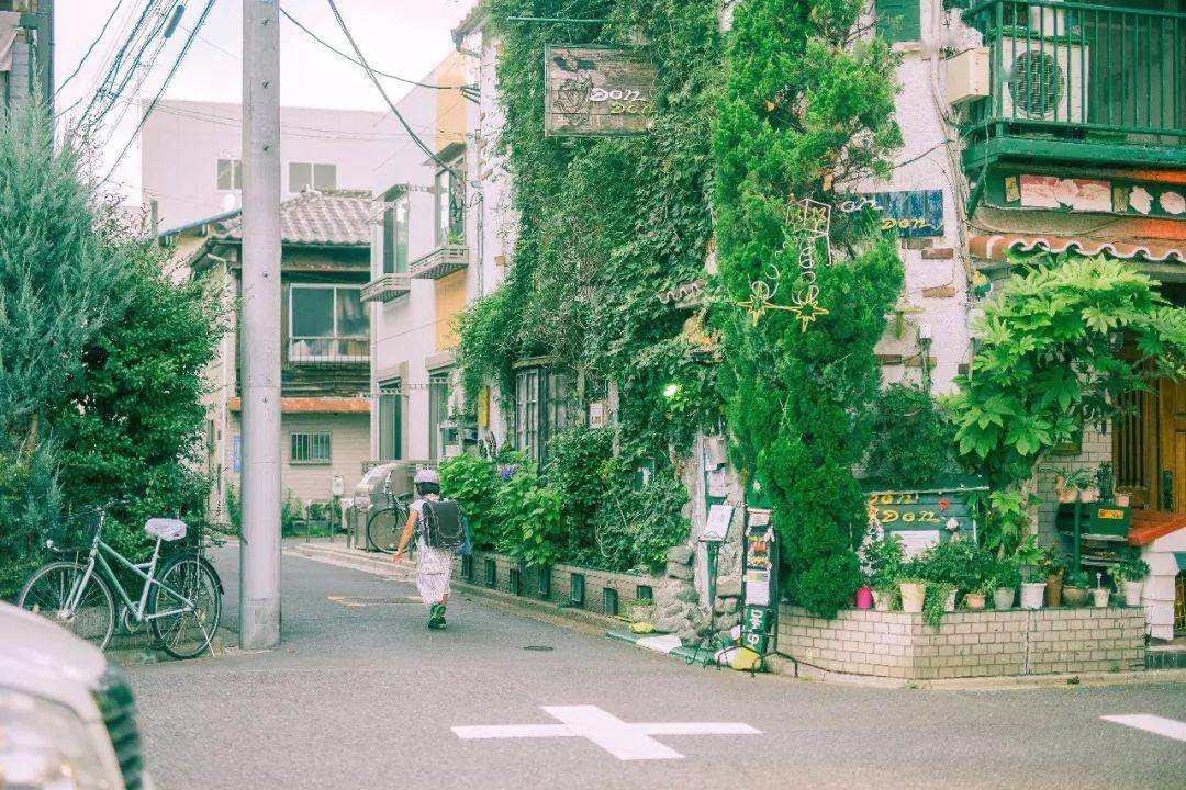 风居住的街道