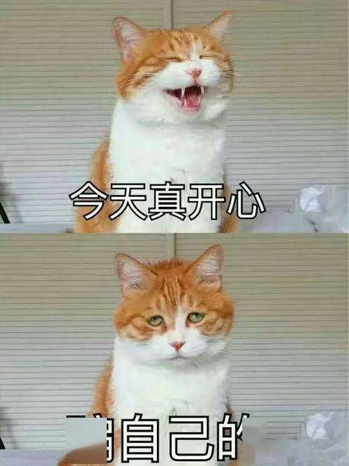 cry up的意思可不是"大哭",真正意思让你怀疑人生