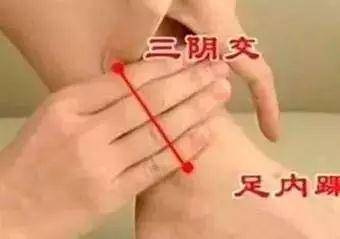 1ed6b58edd2445a09767e5e1c639e4f1.jpeg