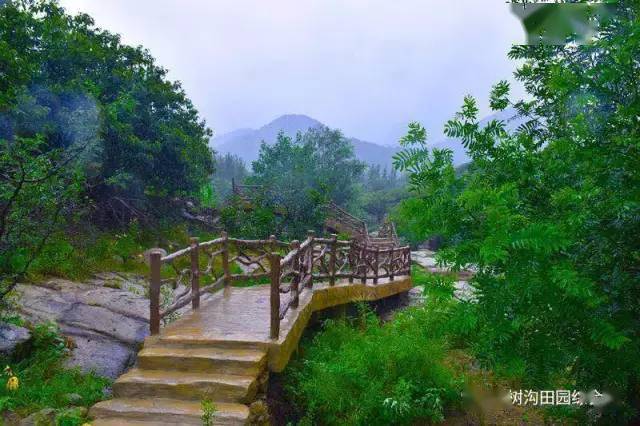 青山绿水,绿荫环绕世外桃源,人间仙境椿树沟村(自然村)位于蒙阴县