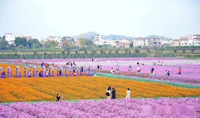 0606庆六一惠州仙眷花洲海纳花海古石龙生态园亲子游一天