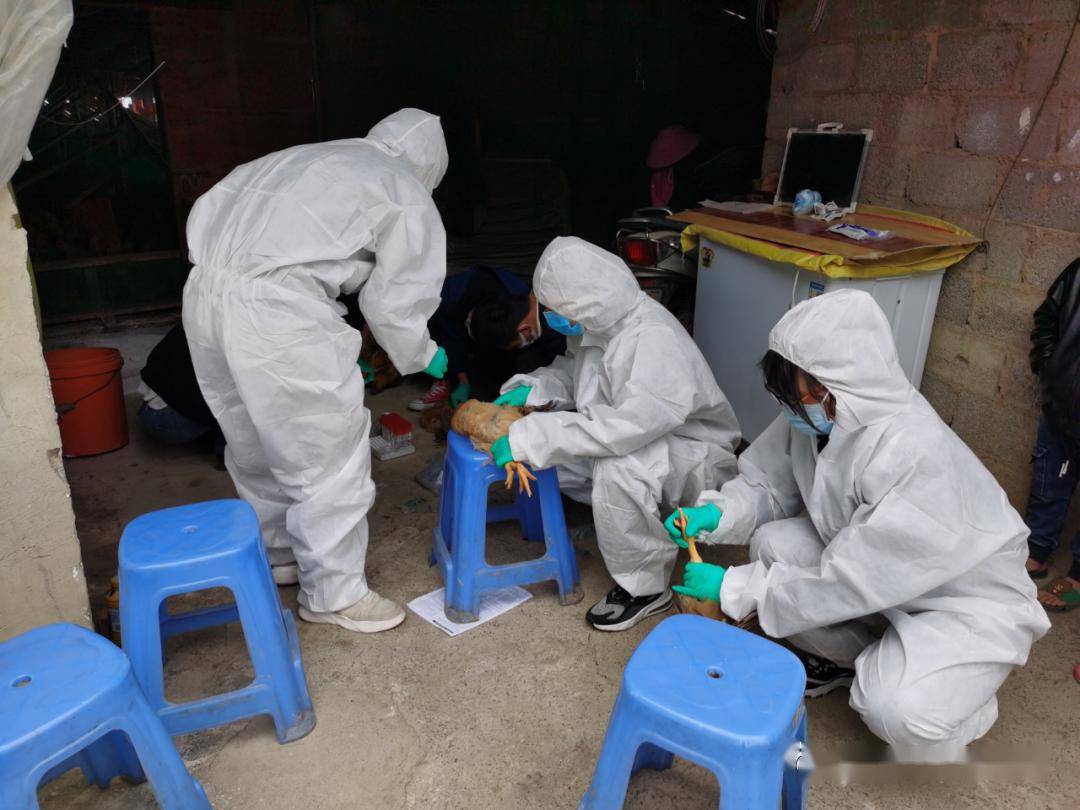 贵安新区2020上半年G_雄安新区(2)