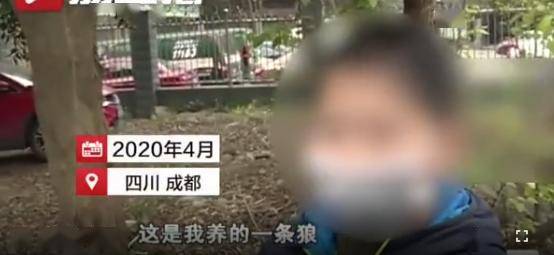 魏县回隆镇GDP_魏县回隆画家