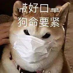 0e7d1692df604f10bbf96637945a3181.jpeg