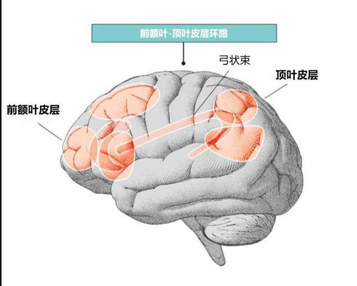 3ab6344a564d4b17abf3c4364249f88a.jpeg
