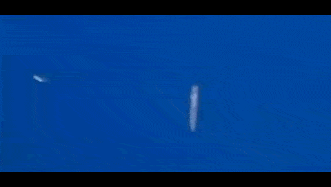 台湾欲演习保卫东沙南沙 宣传片反暴露自身三大缺点 贻笑大方