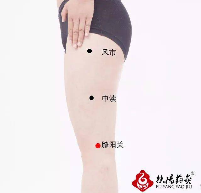 灸膝一月,爽气一年!大补肝肾,盘活全身,夏天认真灸起来!