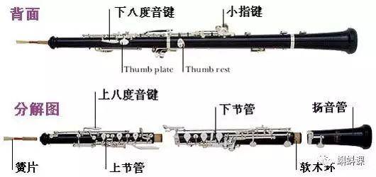 双簧管最初形成于17世纪中叶,18世纪时得到广泛使用.